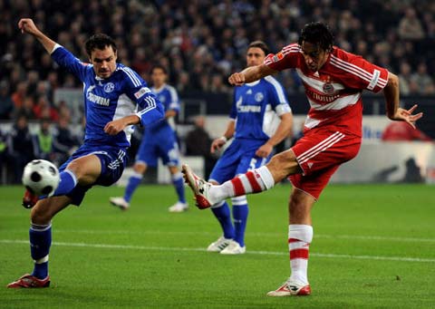 不仅巩固了 不仅巩固了